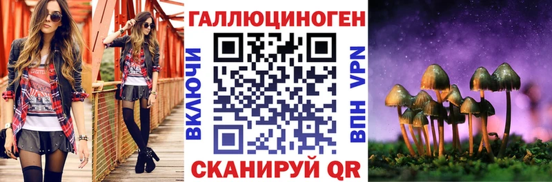 гидра ONION Балашов Псилоцибиновые грибы Cubensis