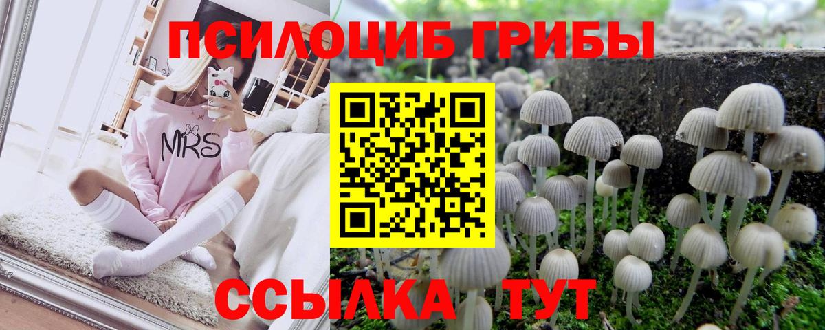 Псилоцибиновые грибы Psilocybe  Вход с VPN  Балашов  Галлюциногенные грибы мицелий 